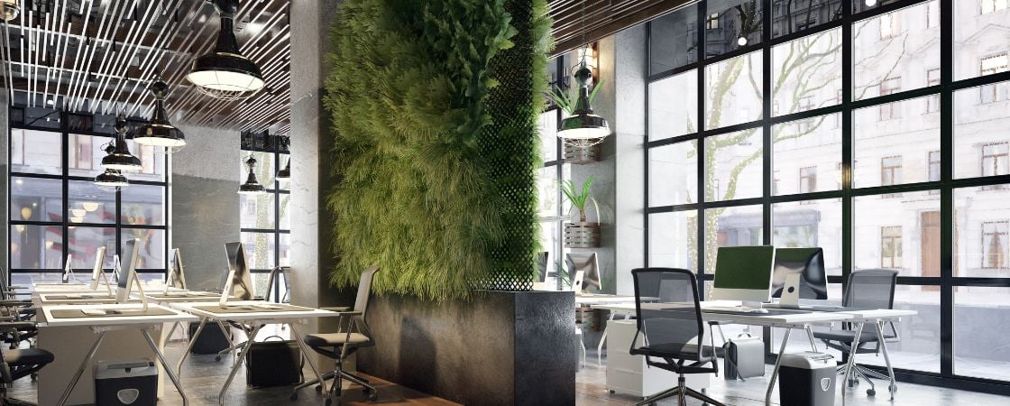 coworking spaces indoor greenery